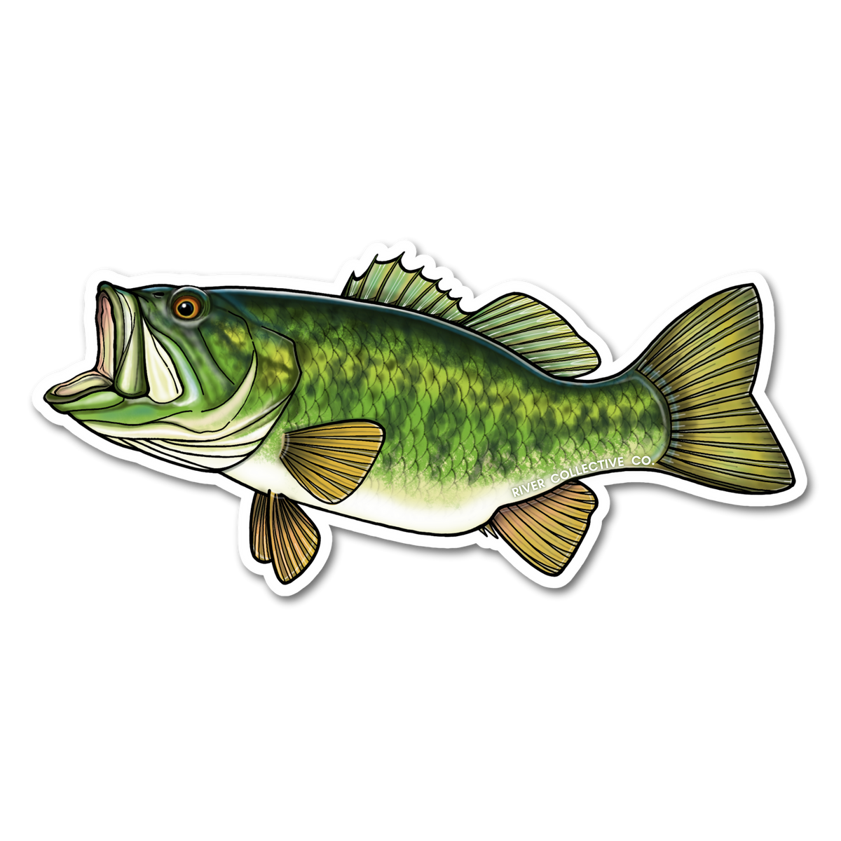 Largemouth Bass Sticker