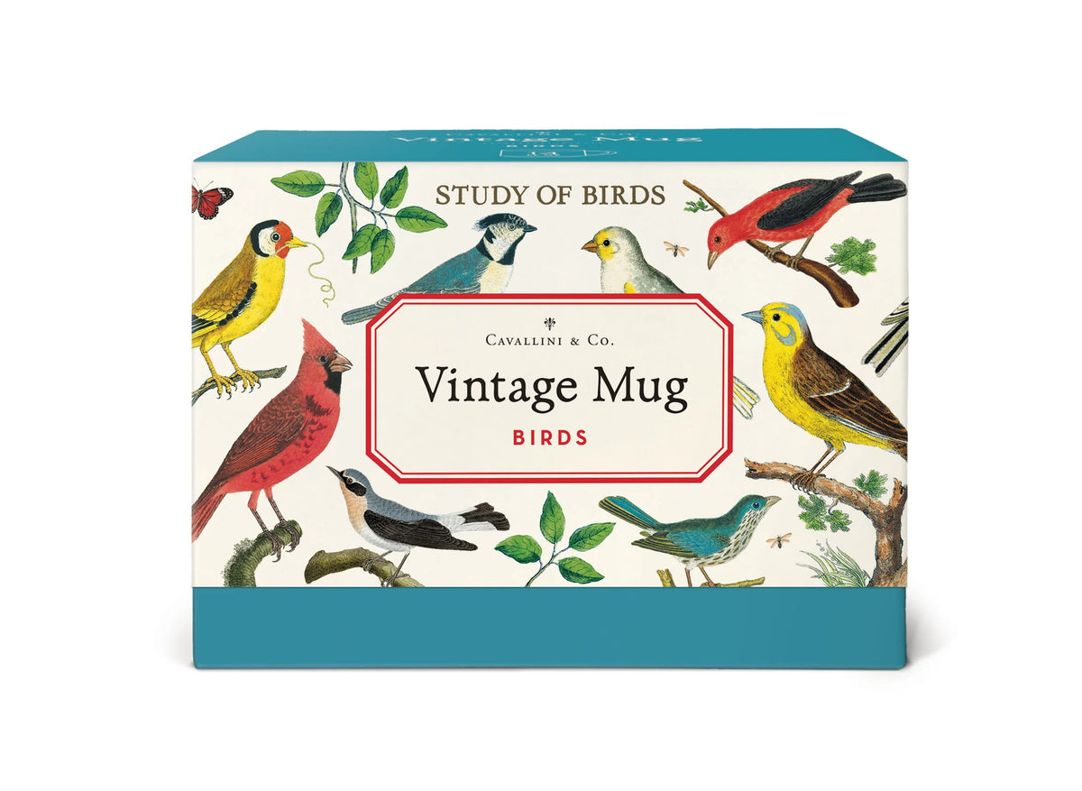 Study of Birds Vintage Mug