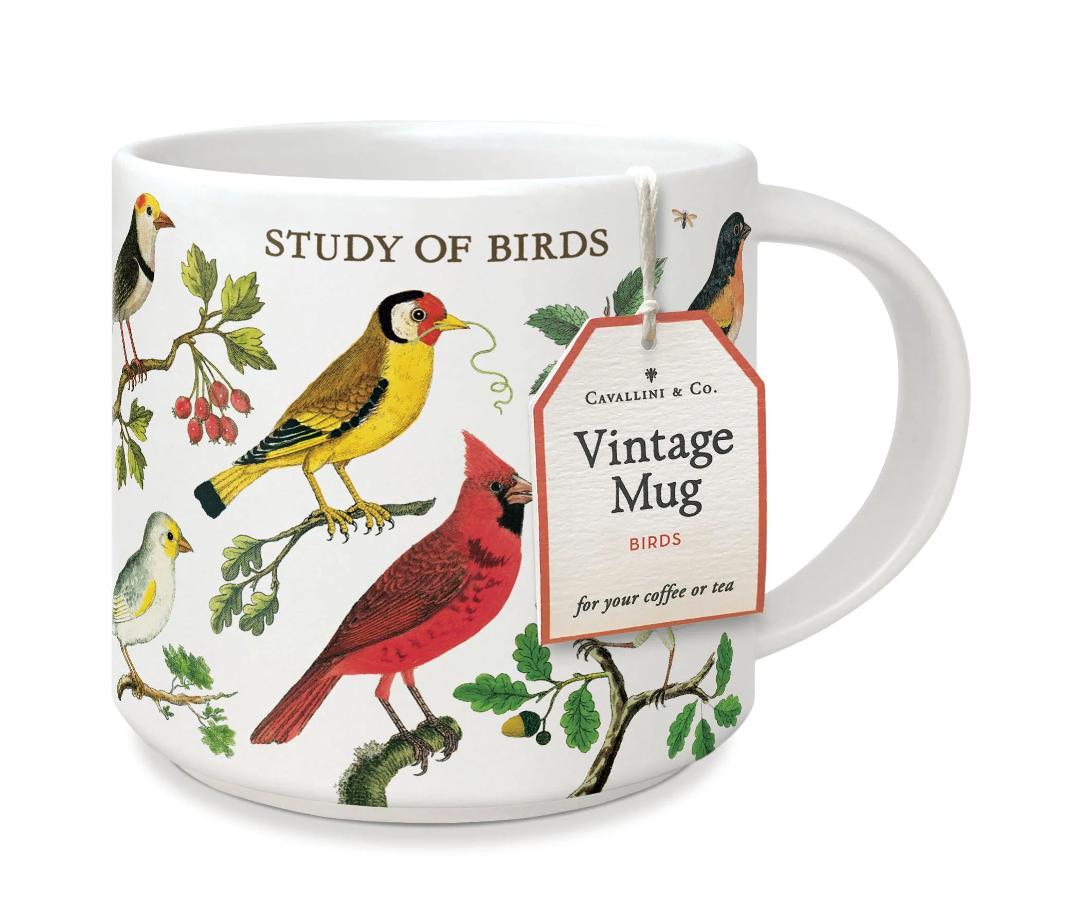 Study of Birds Vintage Mug