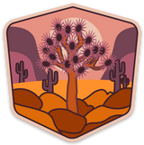 Joshua Tree Sticker