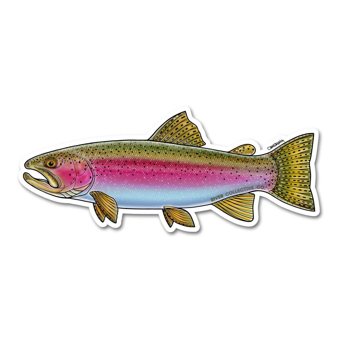 Rainbow Trout Sticker