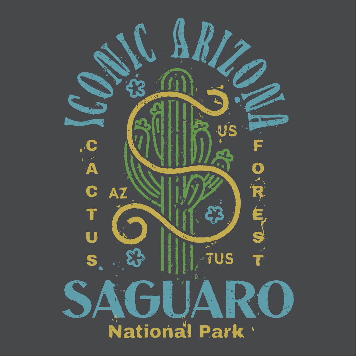 Saguaro National Park Ladies Boxy Crop