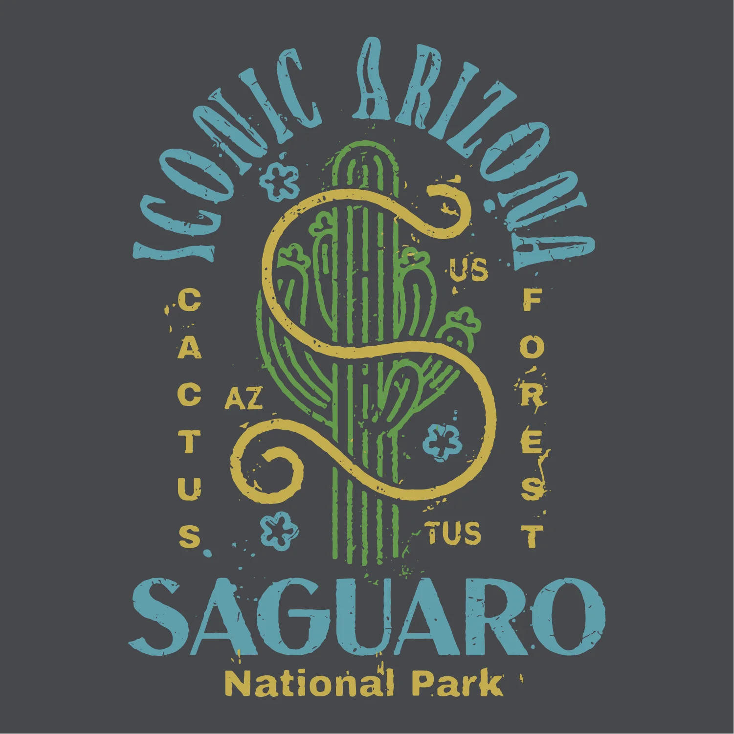 Saguaro National Park Ladies Boxy Crop