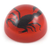 Black Scorpion Large Dome Paper Weight