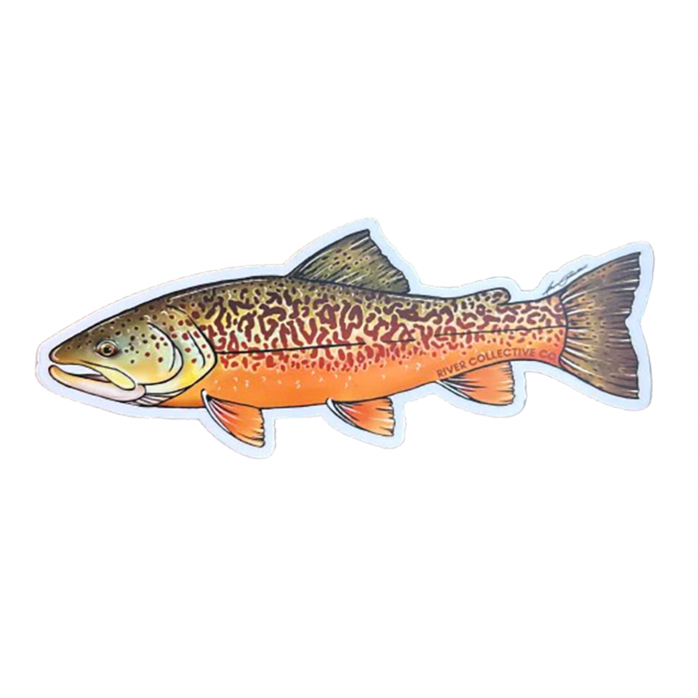 Tiger Trout Sticker