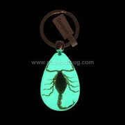 Glow-in-the-Dark Golden Scorpion Tear Drop Keychain