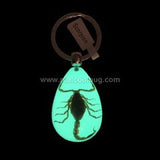 Glow-in-the-Dark Black Scorpion Tear Drop Keychain