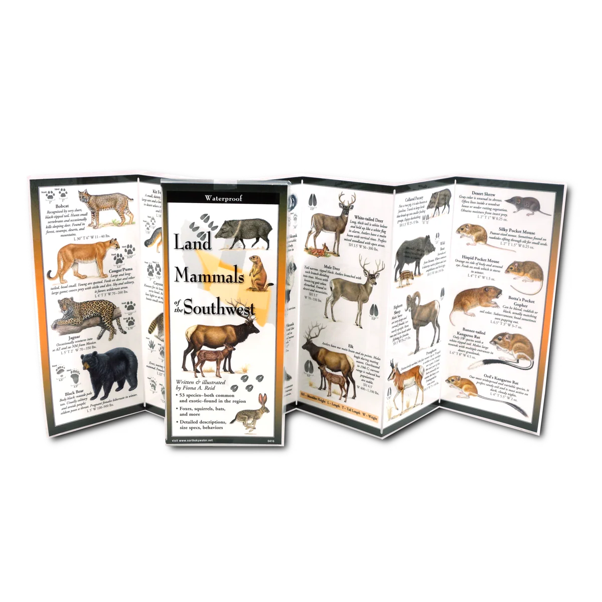 Land Mammals of the Southwest Waterproof Guide