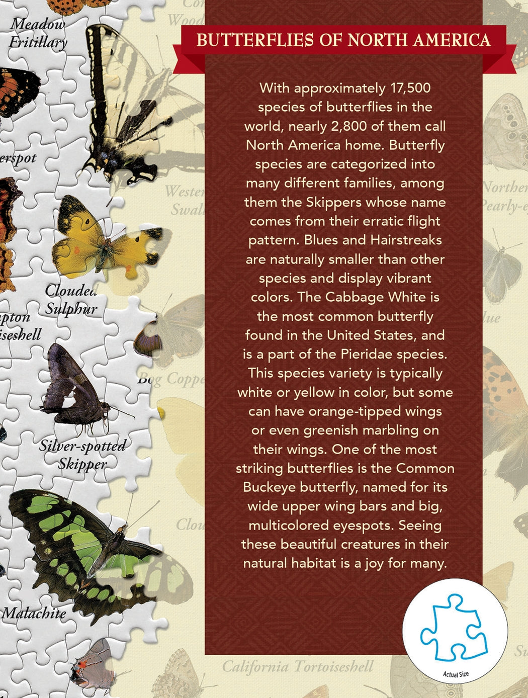 Butterflies of North America 1000 Piece Puzzle