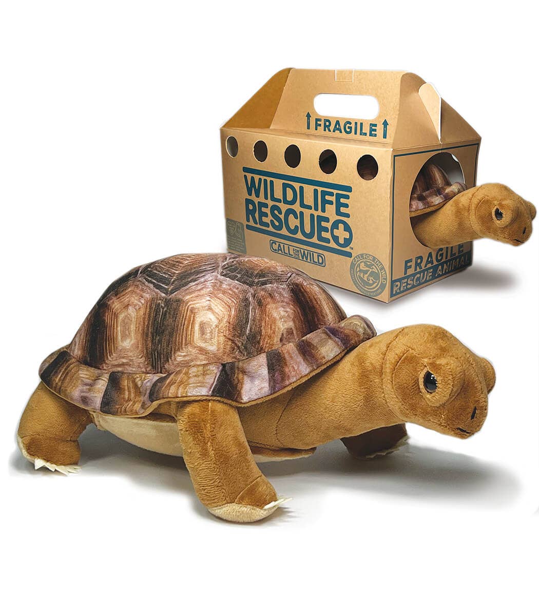 Wildlife Rescue - Desert Tortoise
