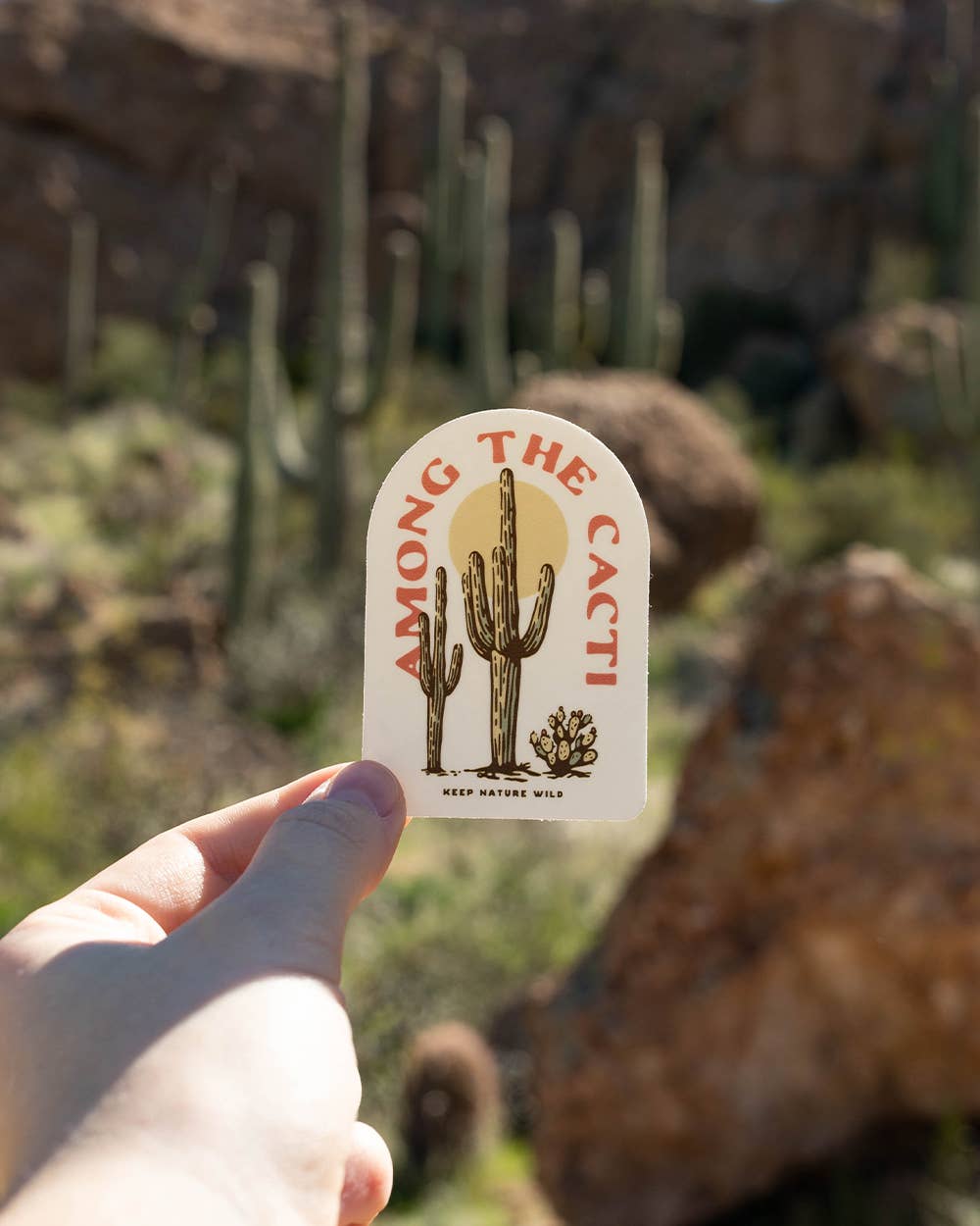 Among the Cacti Sticker
