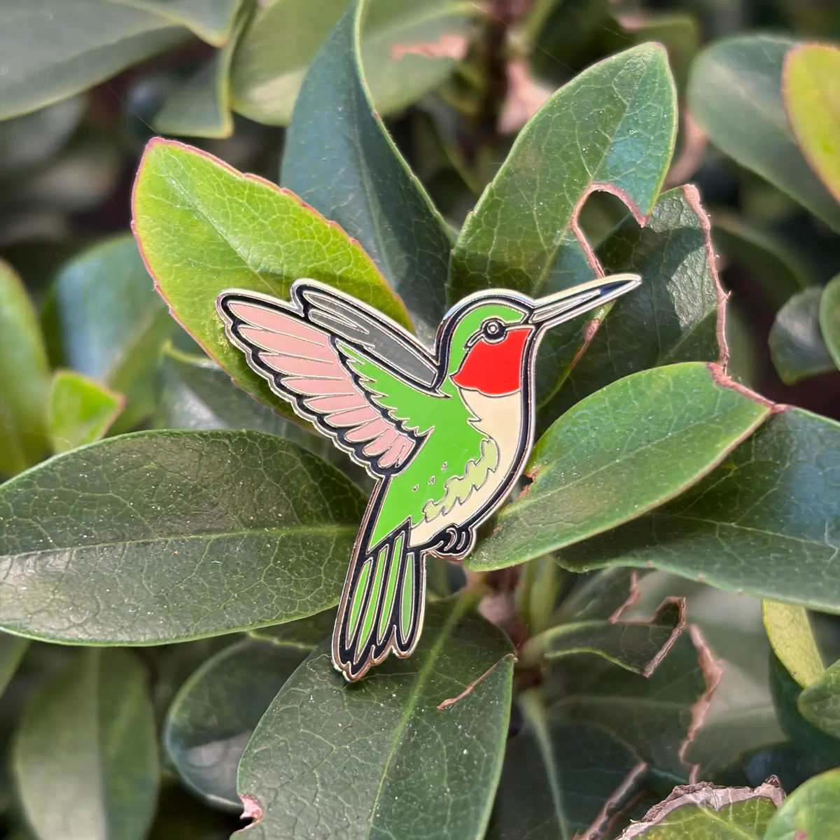 Ruby-Throated Hummingbird Enamel Pin