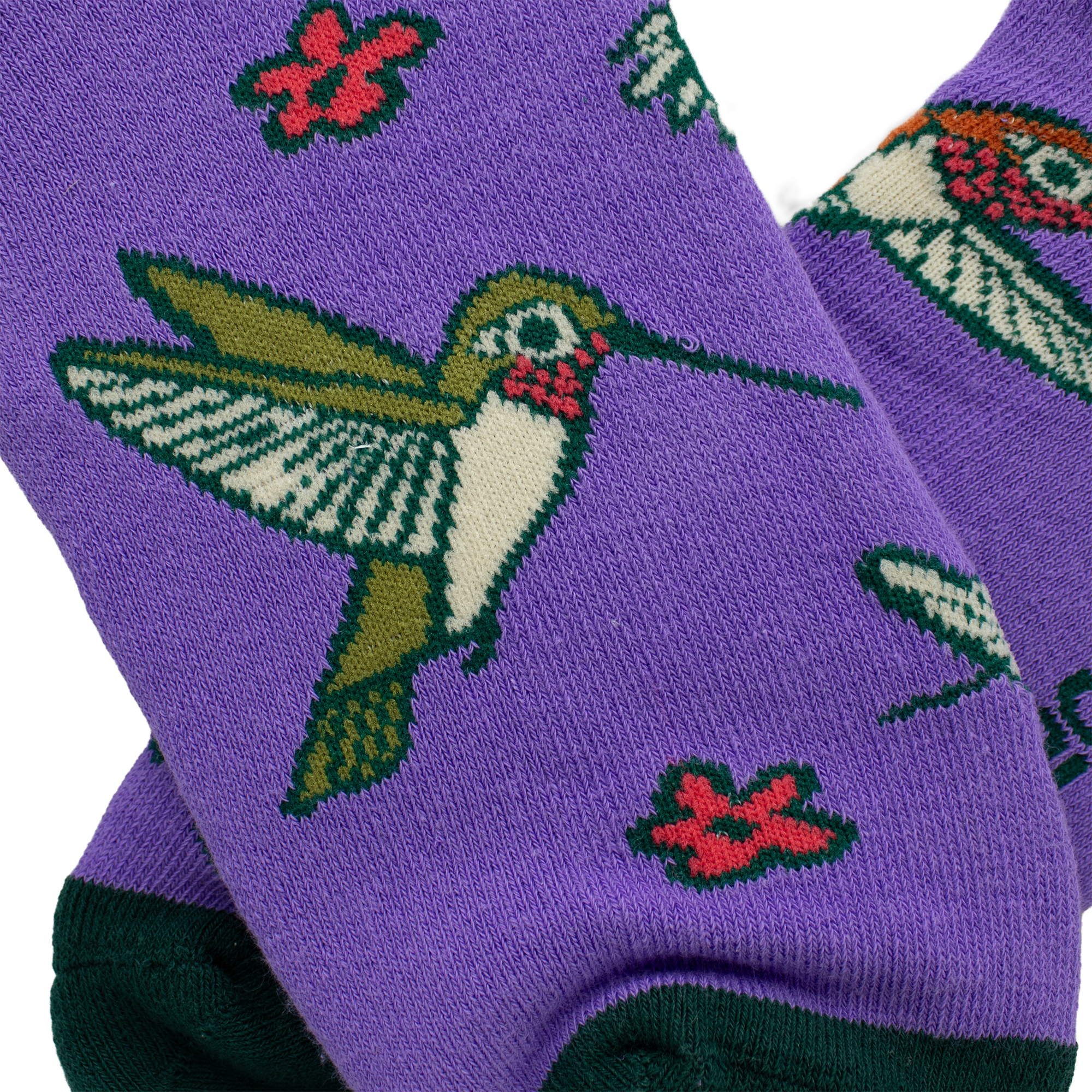 Hummingbirds Socks