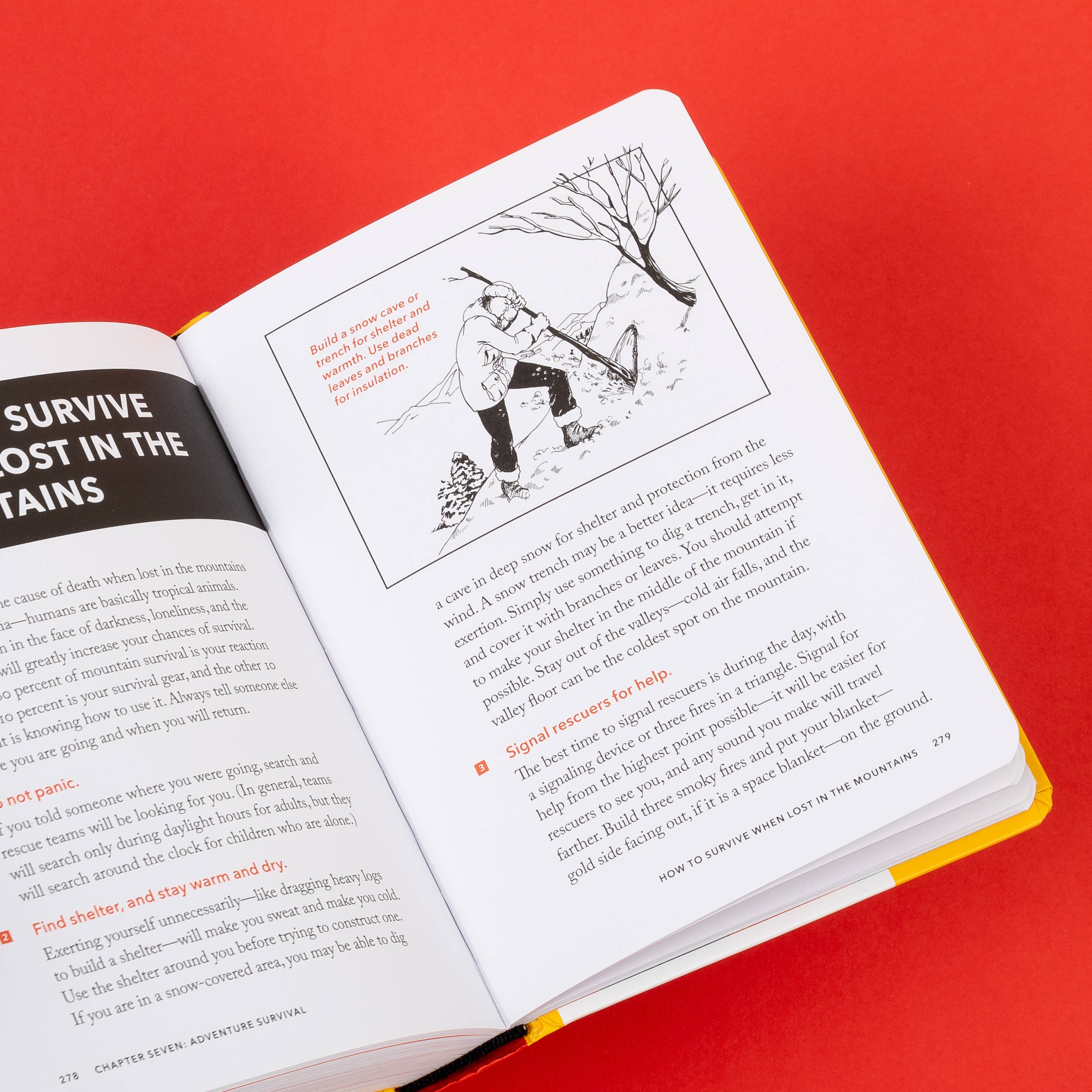 The NEW Worst-Case Scenario Survival Handbook