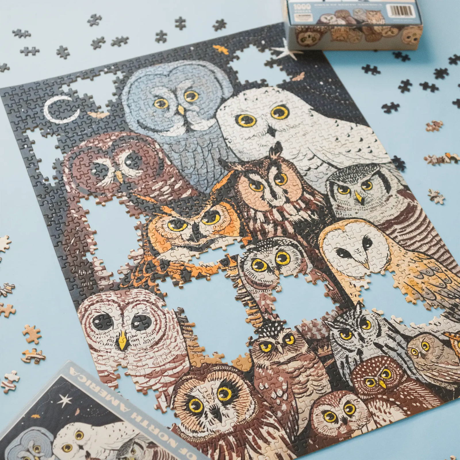 Owls of North America Puzzle