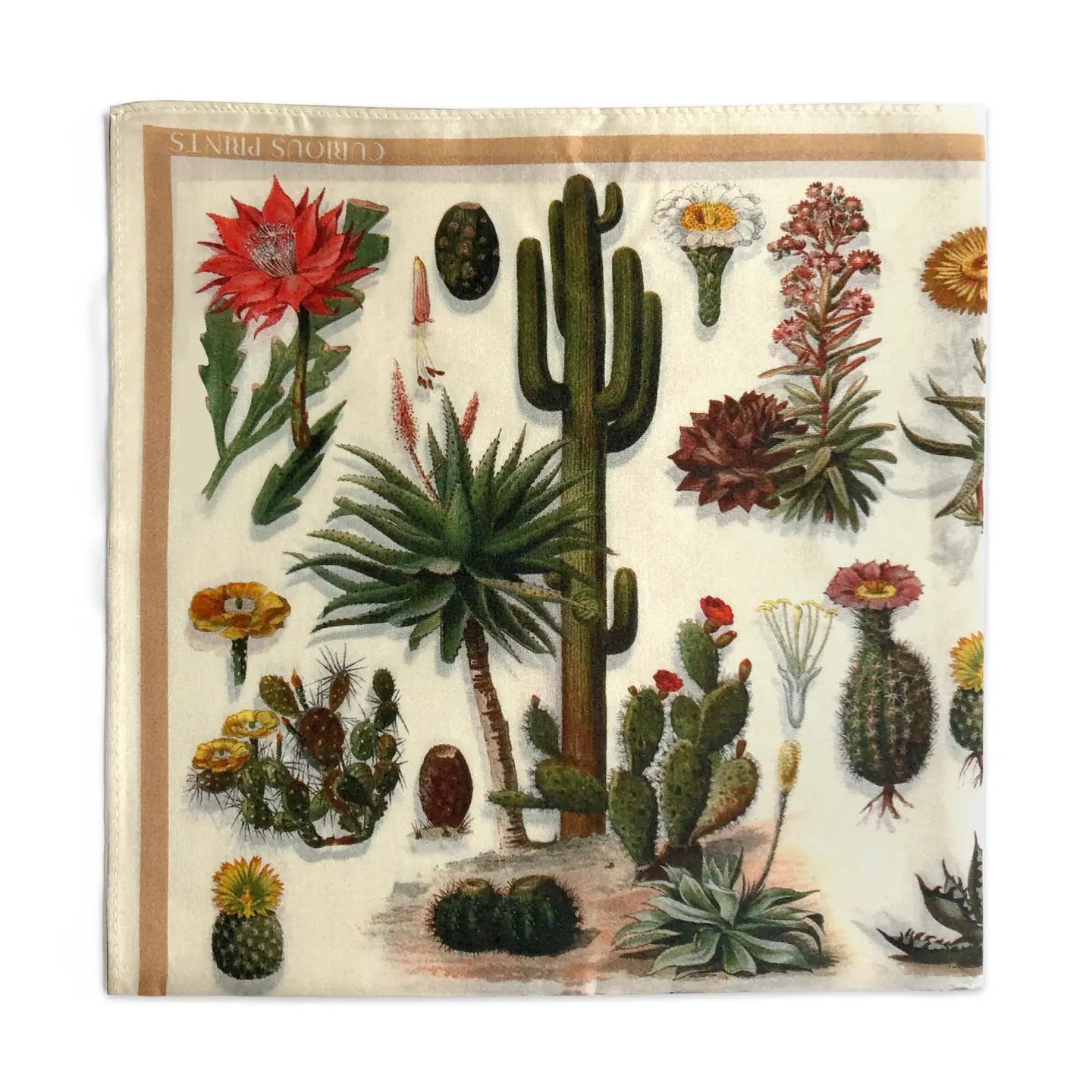 Cactus Botanical Silk Bandana