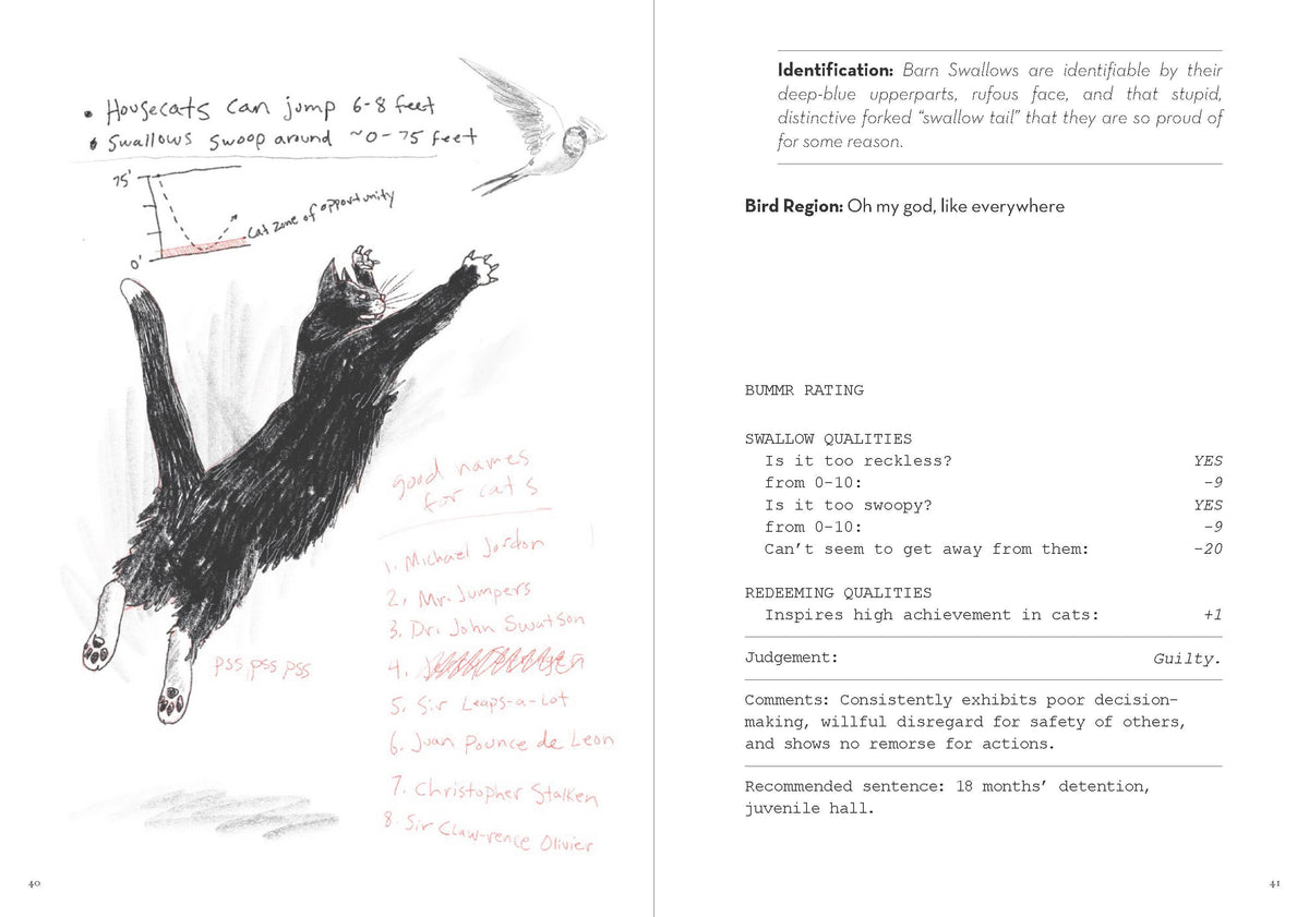 Dumb Birds Field Guide to the Worst Birds Ever Book