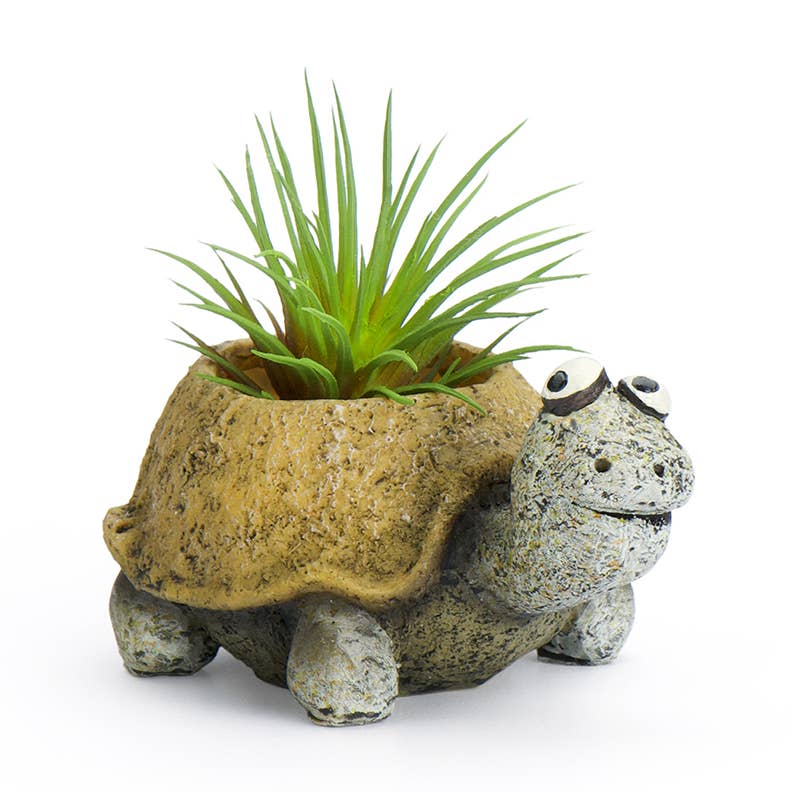 Mini Baby Tortoise Planter