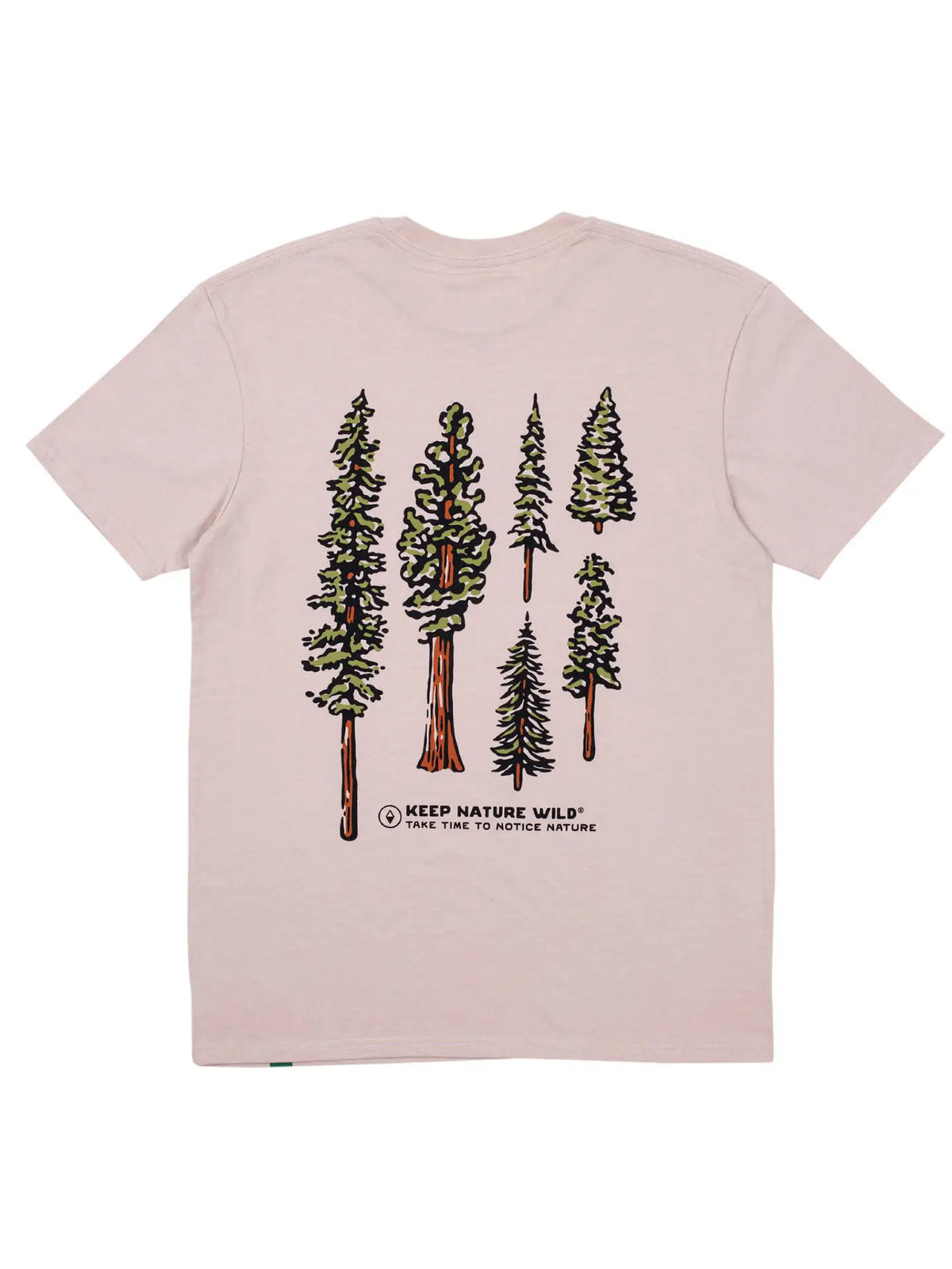 Nature Study Conifers Tee