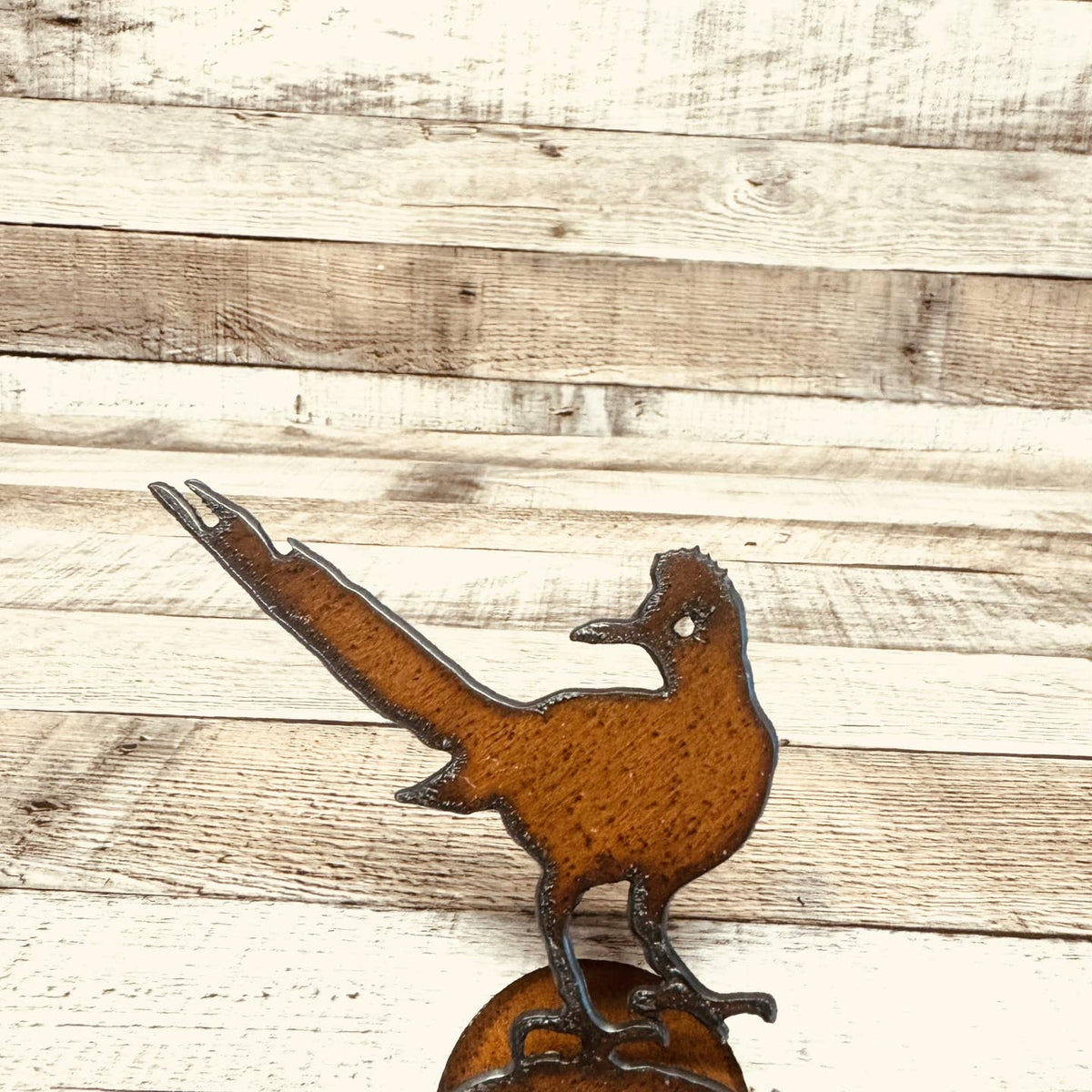 Roadrunner Metal Cut Out Standee