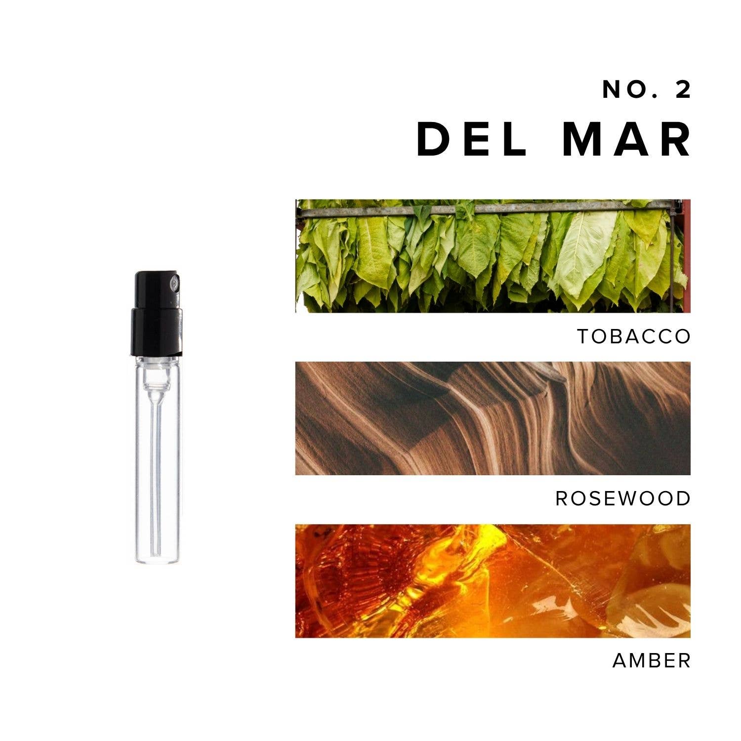 Luxury Perfume Discovery Set