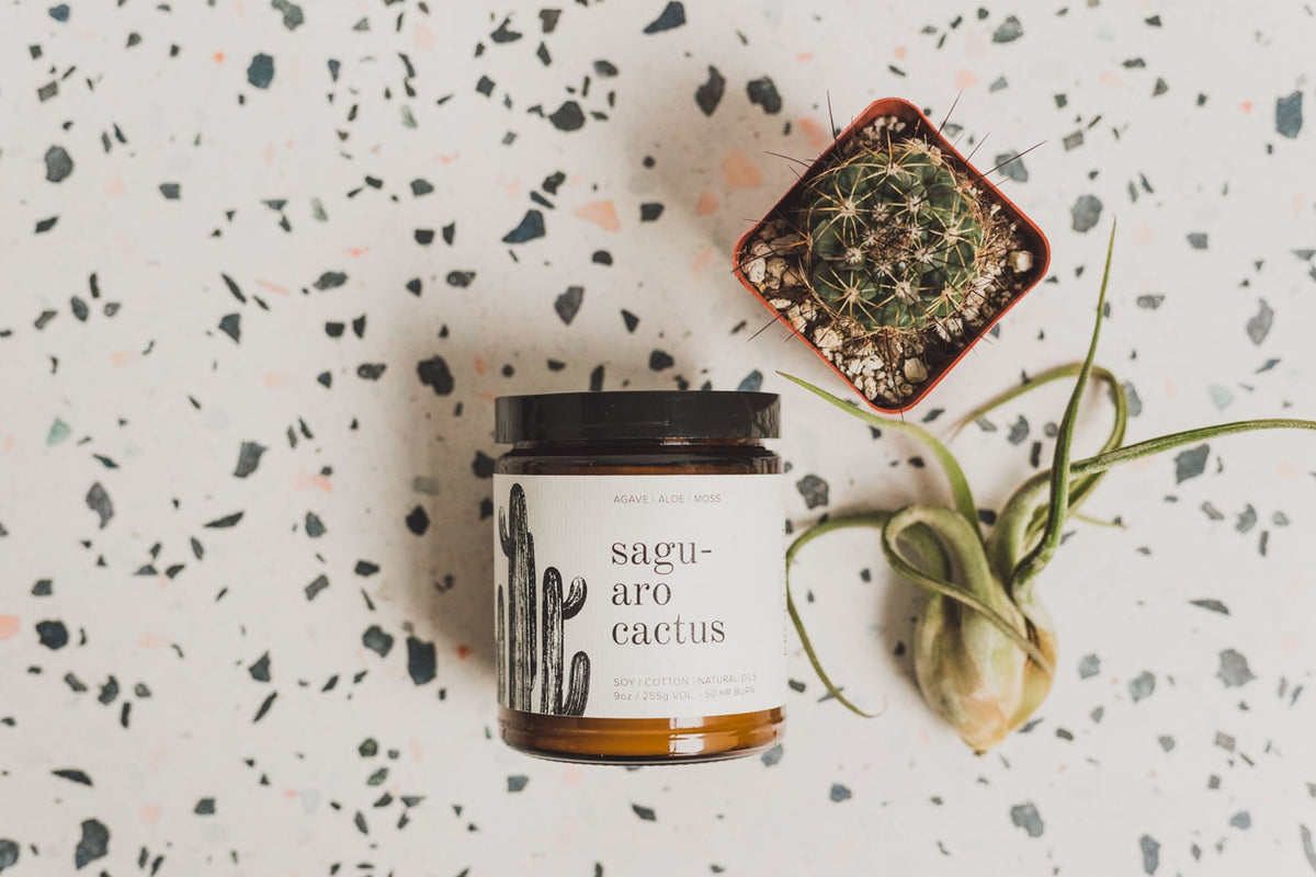 Saguaro Cactus candle on a terrazzo surface with a small potted cactus nearby