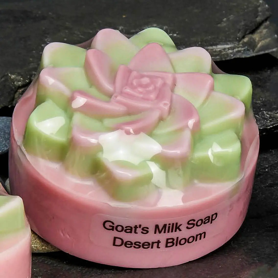Desert Bloom Succulent Soap Bar