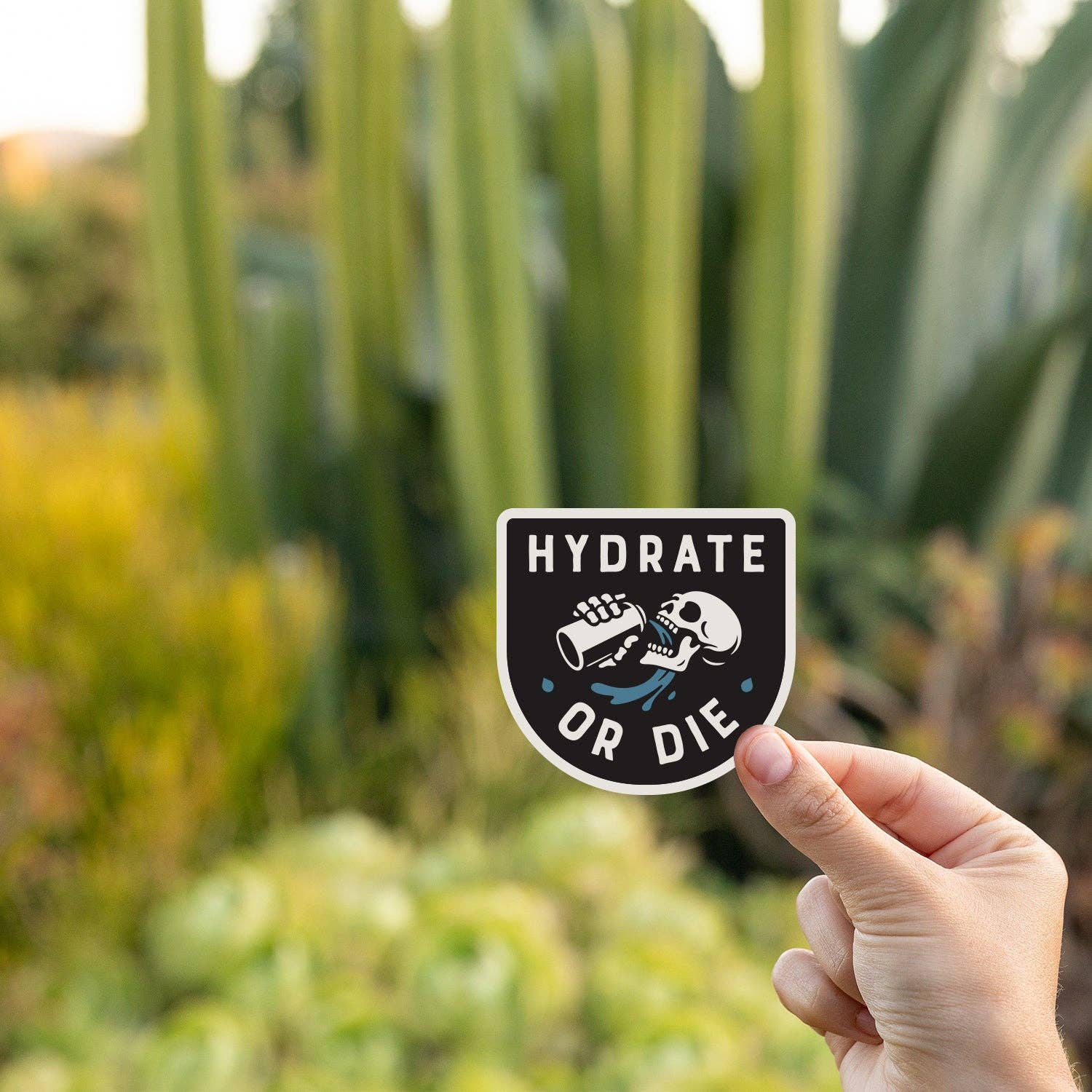 Hydrate or Die Sticker