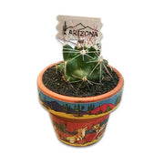 Desert Gatherings Live Cactus Magnet