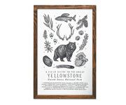 Yellowstone National Park Field Guide - 11 x 17