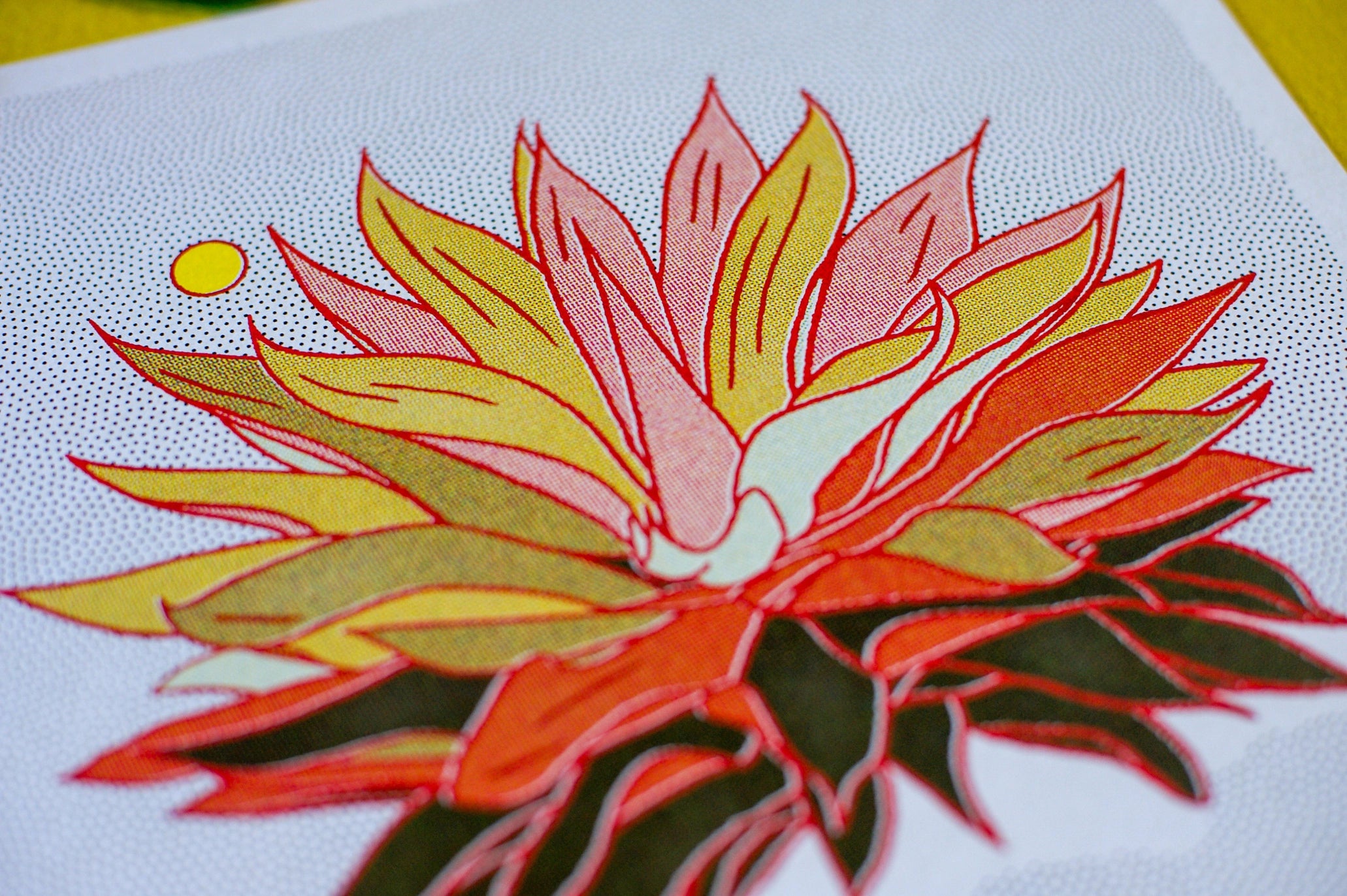 Rainbow Aloe - 12 x 12 Print