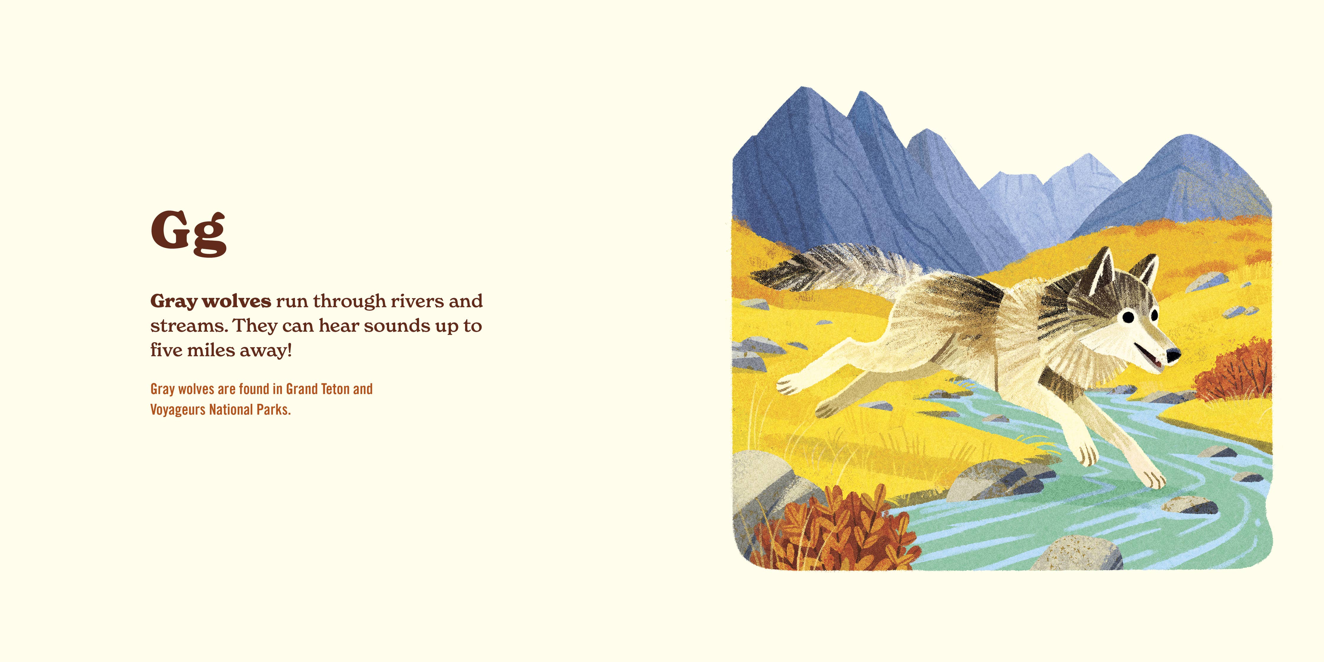 Animals of the National Parks