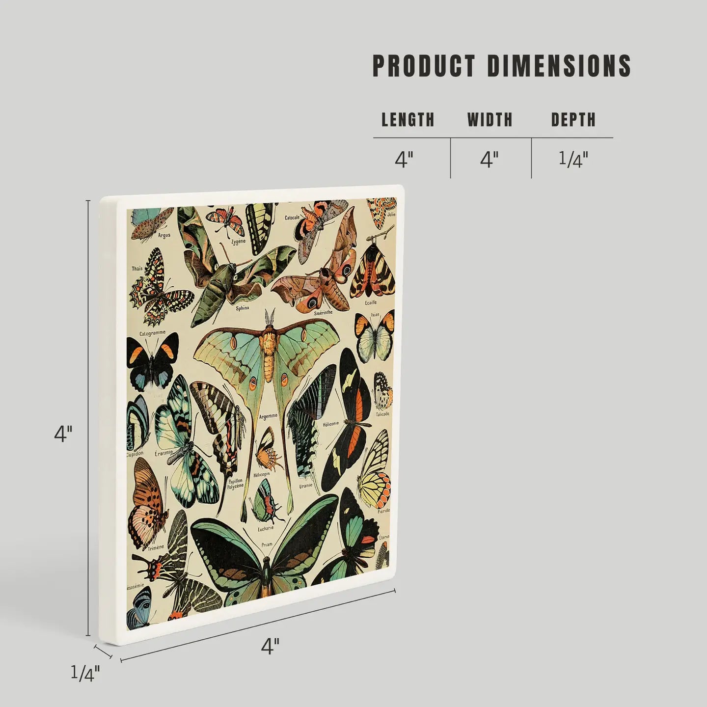 Butterflies Ceramic Coaster