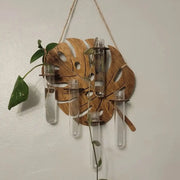 Monstera Propagation Station