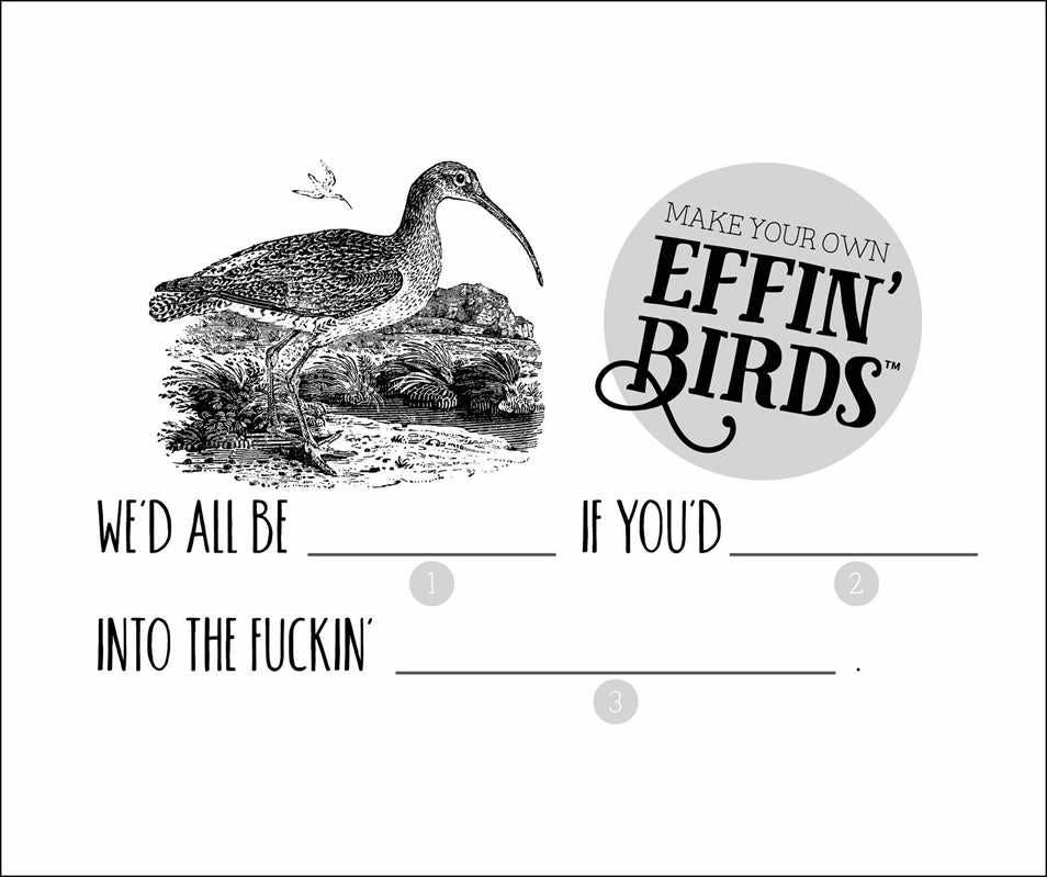 Effin' Birds 2027 Day-to-Day Calendar