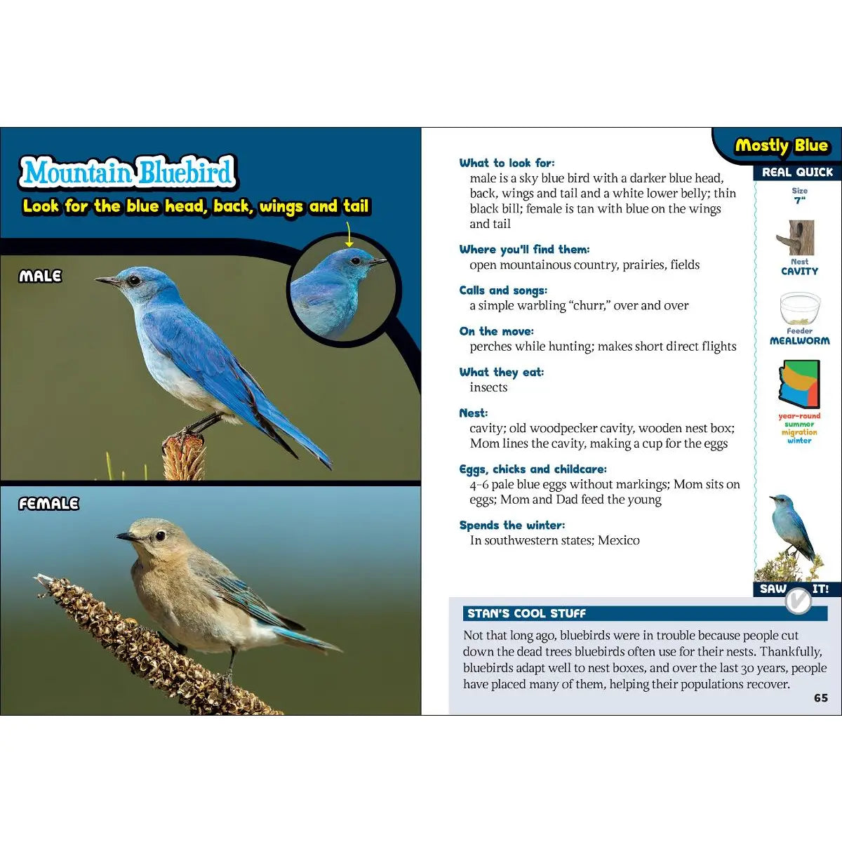 Kids' Guide to Birds of Arizona