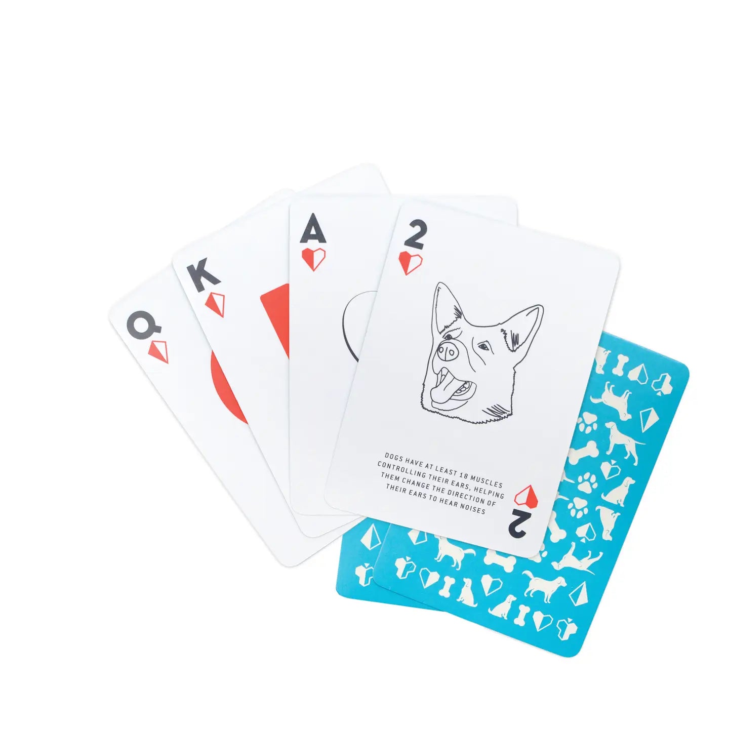 Dog Facts Playing Cards