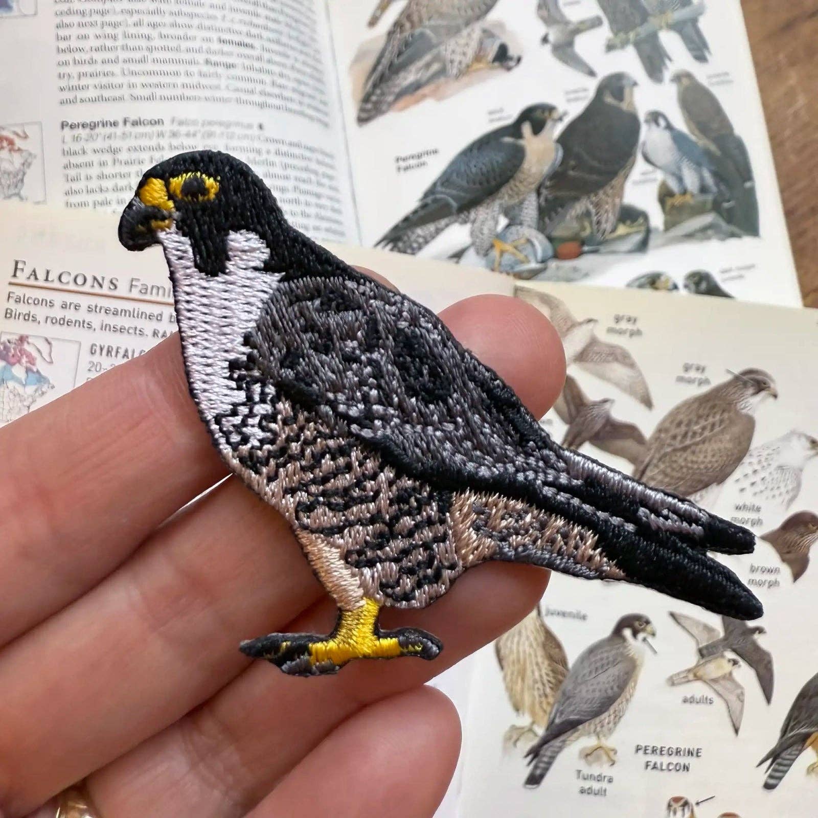 Peregrine Falcon Patch