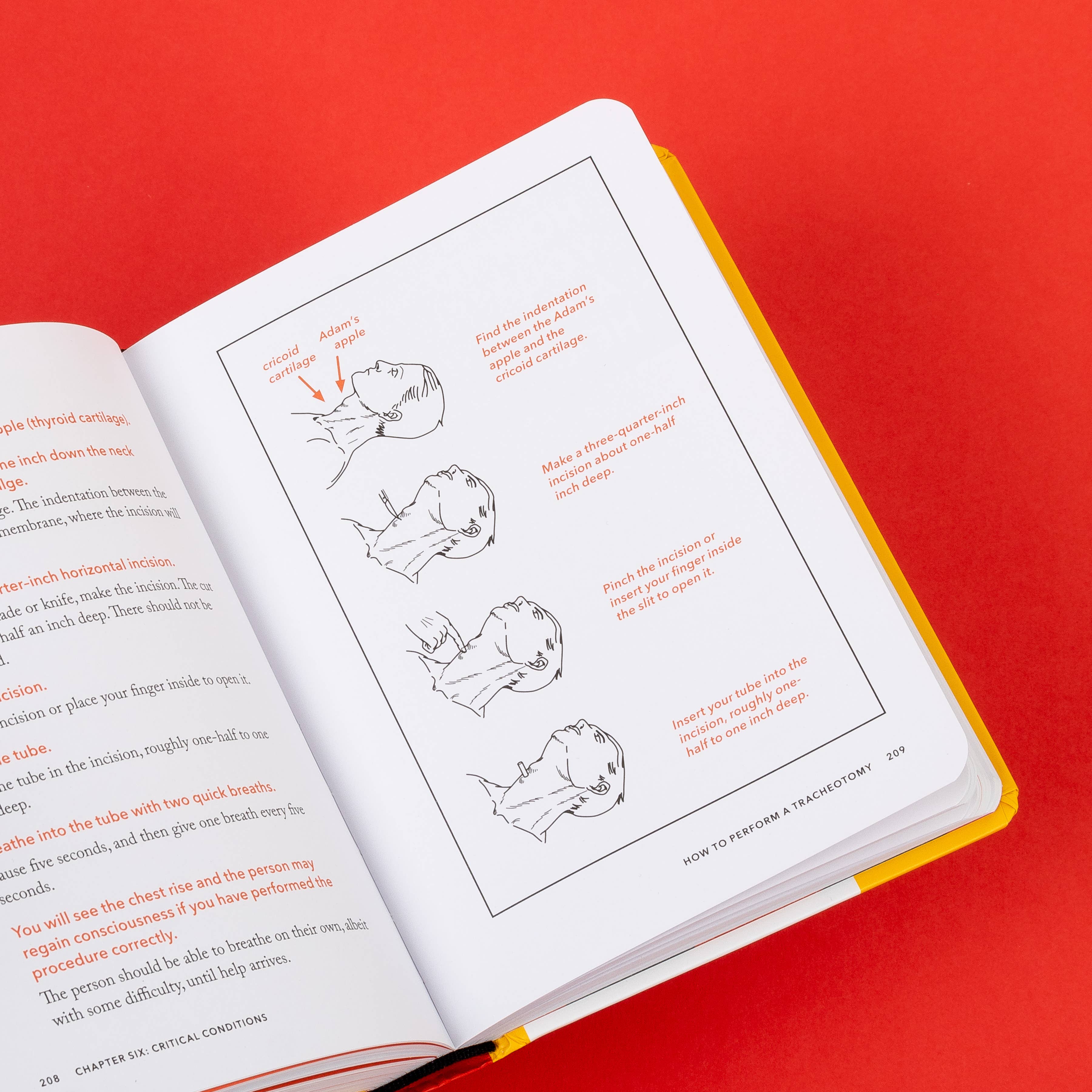 The NEW Worst-Case Scenario Survival Handbook