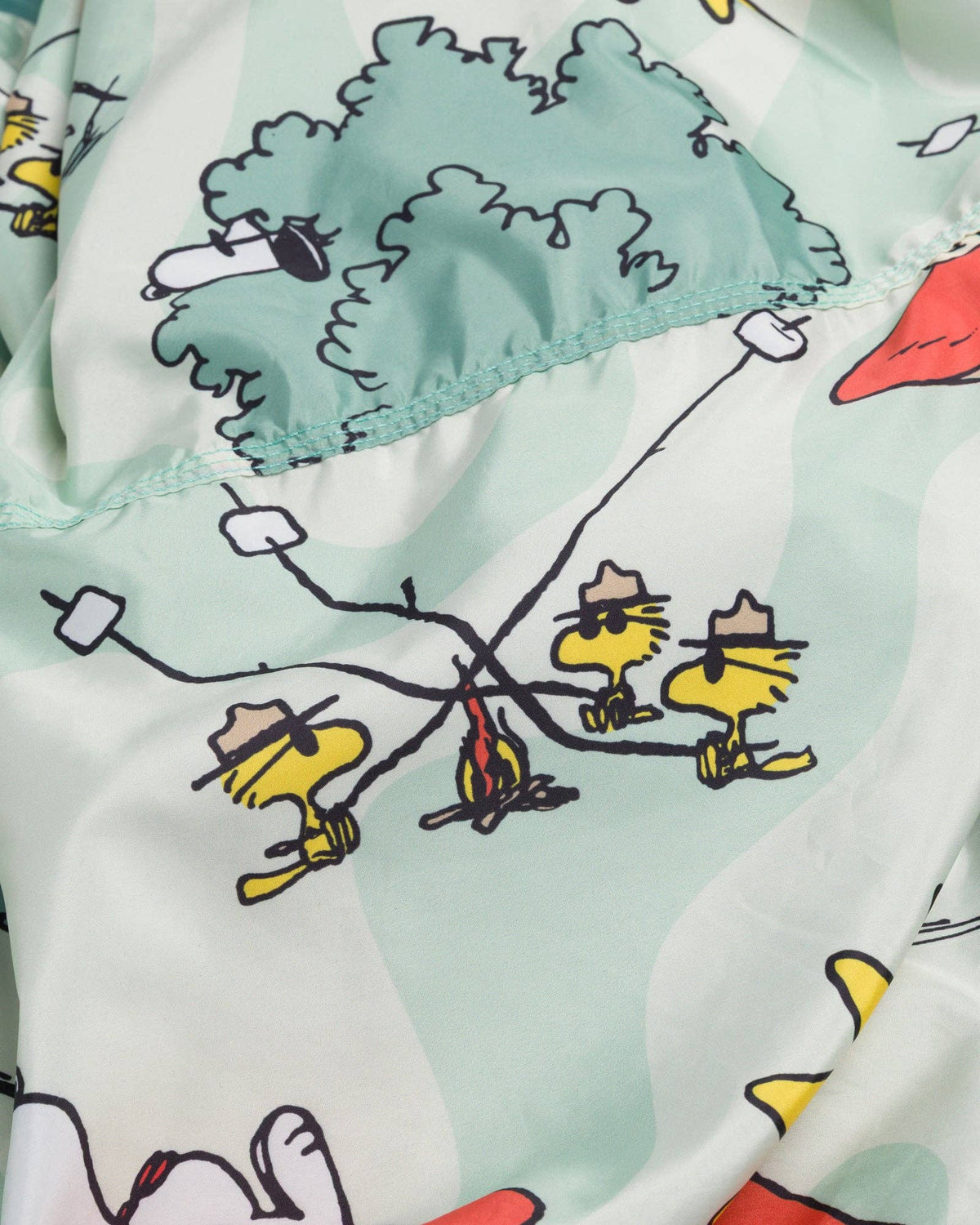 Peanuts x Parks Project Hammock For Two