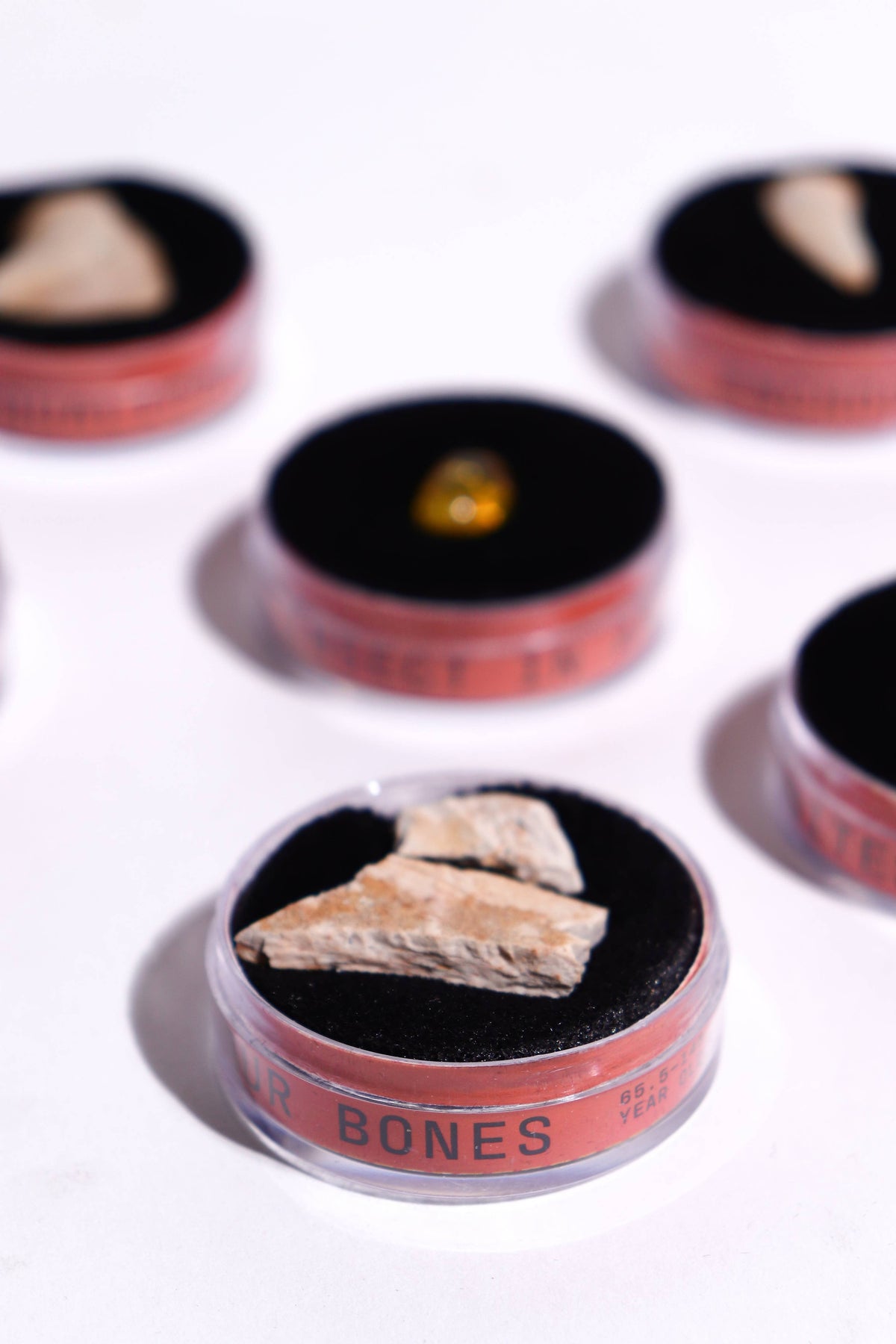 Blurred close up of round Fossil Blind Bag tins with rock specimens on black velvet
