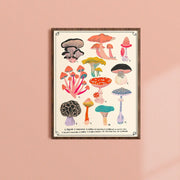 Types of Mushrooms Art Print