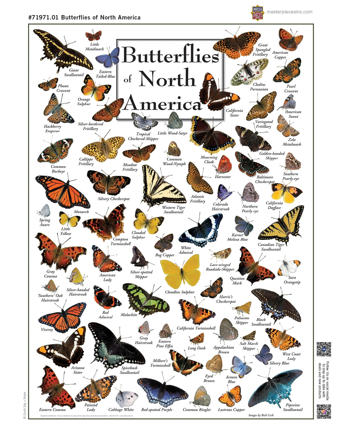 Butterflies of North America 1000 Piece Puzzle