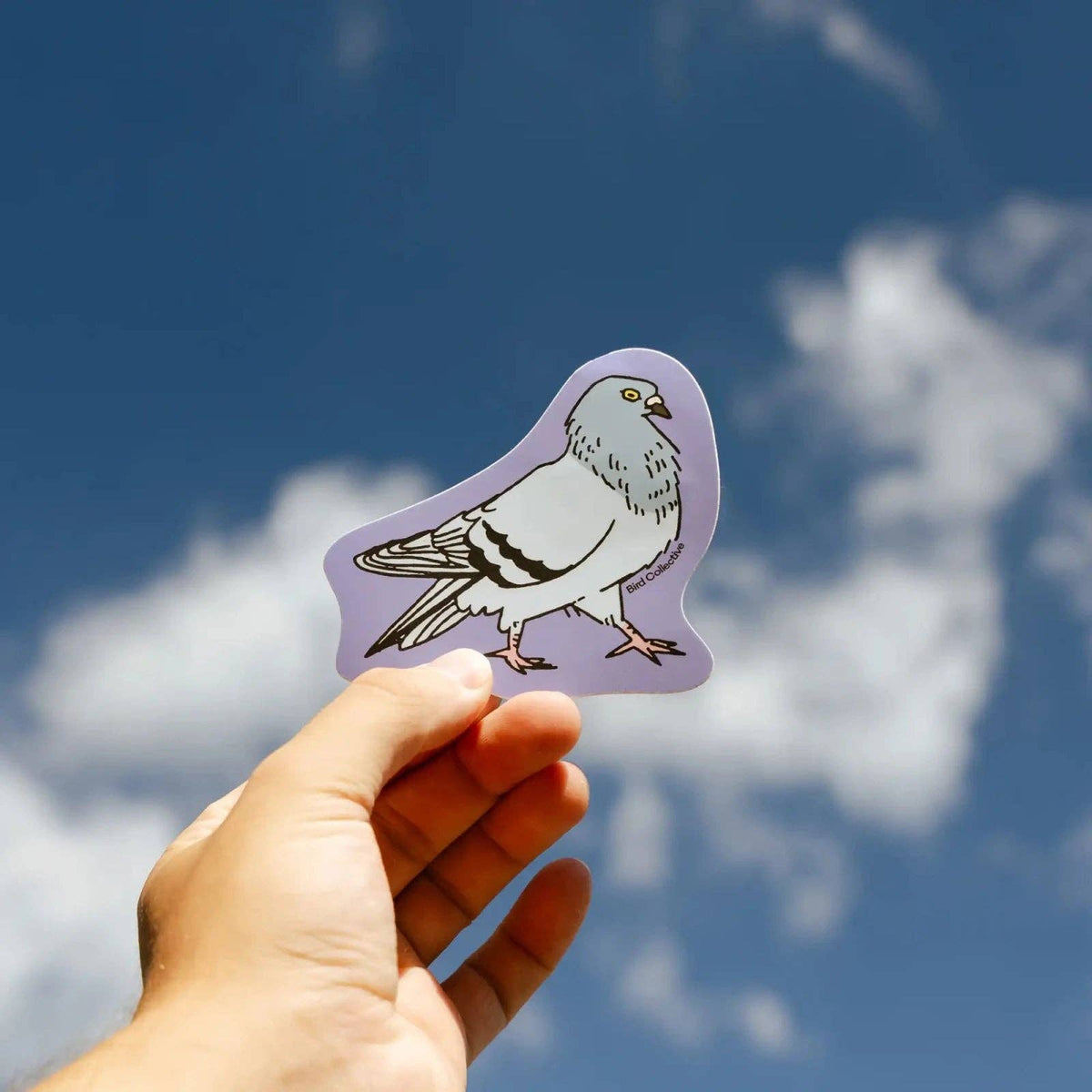 Pigeon Sticker