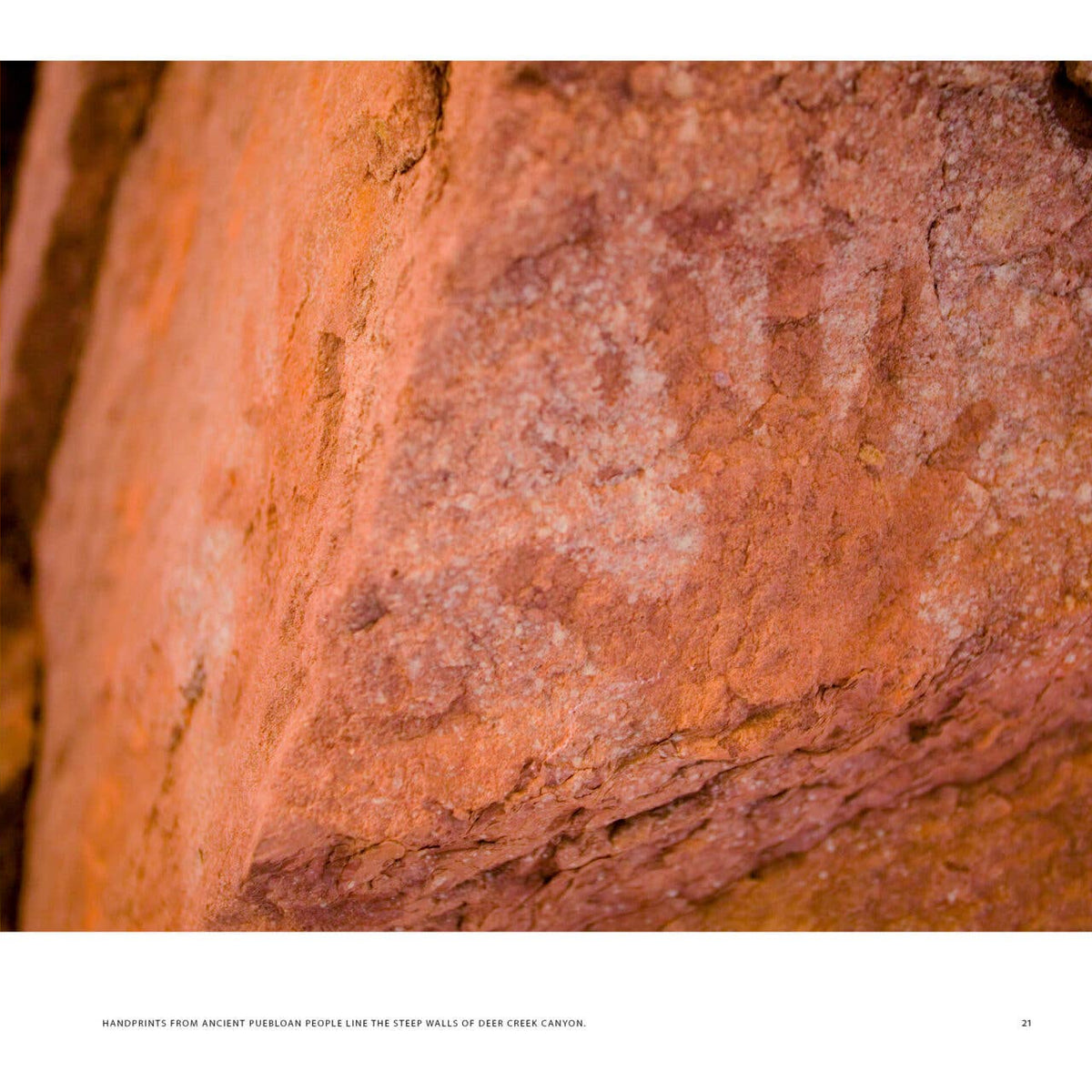 Arizona: Discover the Grand Canyon State