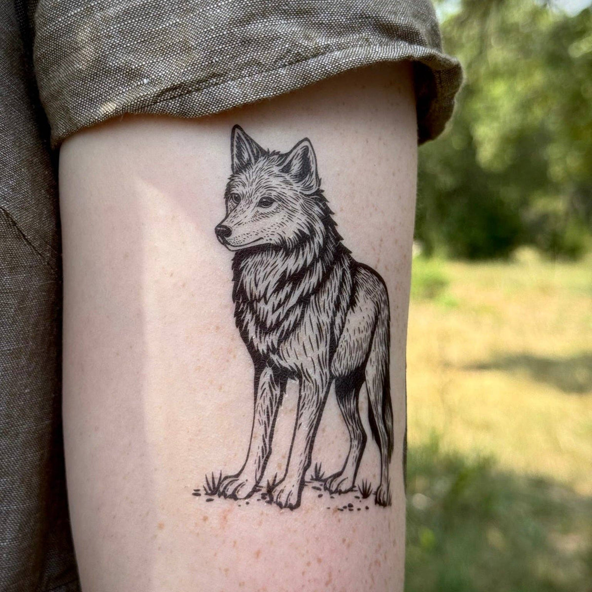 Wild Wolf Temporary Tattoo