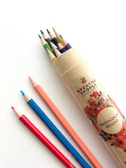 12-Color Watercolor Pencils - Beginner-Friendly Art Supplies