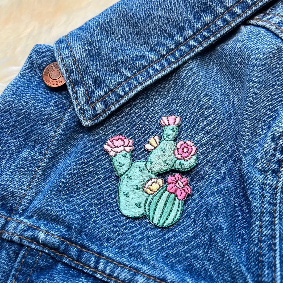 Prickly Pear Cactus Patch