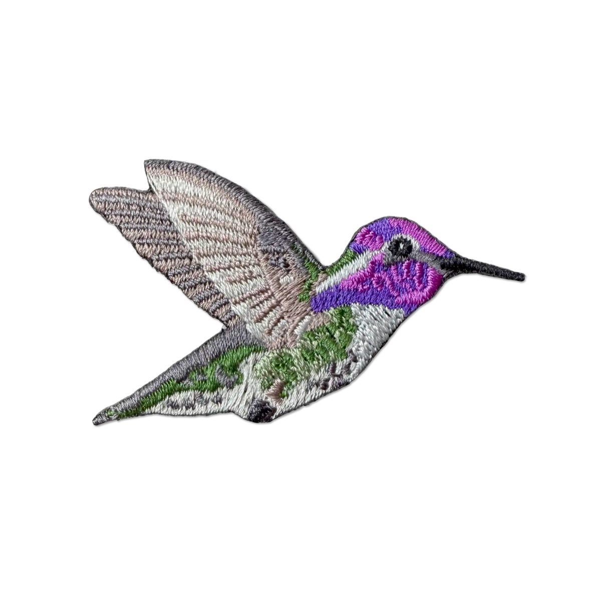 Costa's Hummingbird Patch
