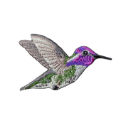 Costa's Hummingbird Patch